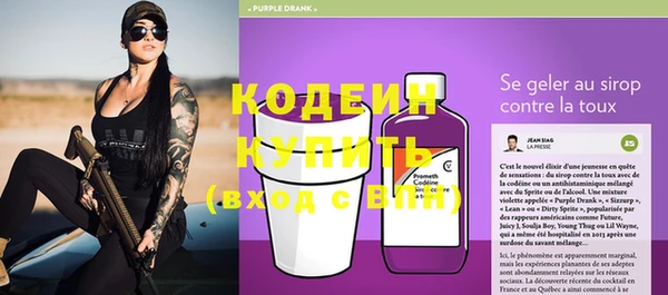 гидра Корсаков
