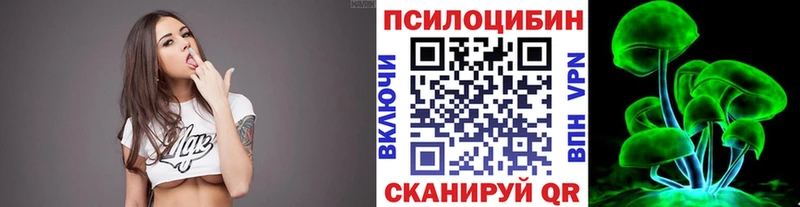 Псилоцибиновые грибы Cubensis  Купить  Высоцк 