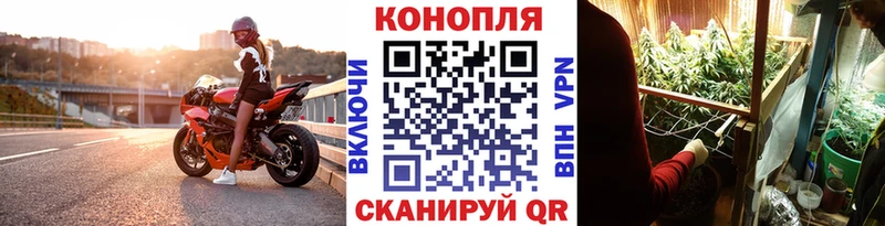 Купить где  Высоцк  МАРИХУАНА VHQ 
